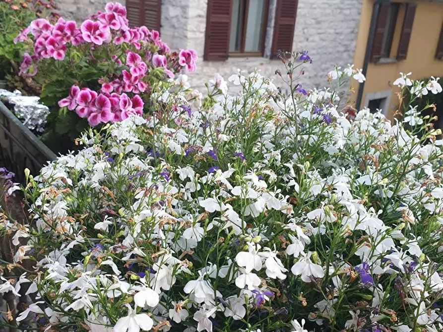 Immagine 15 di Appartamento in vendita  in Via giovio a Como