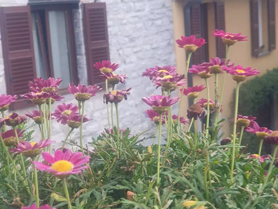 Immagine 16 di Appartamento in vendita  in Via giovio a Como