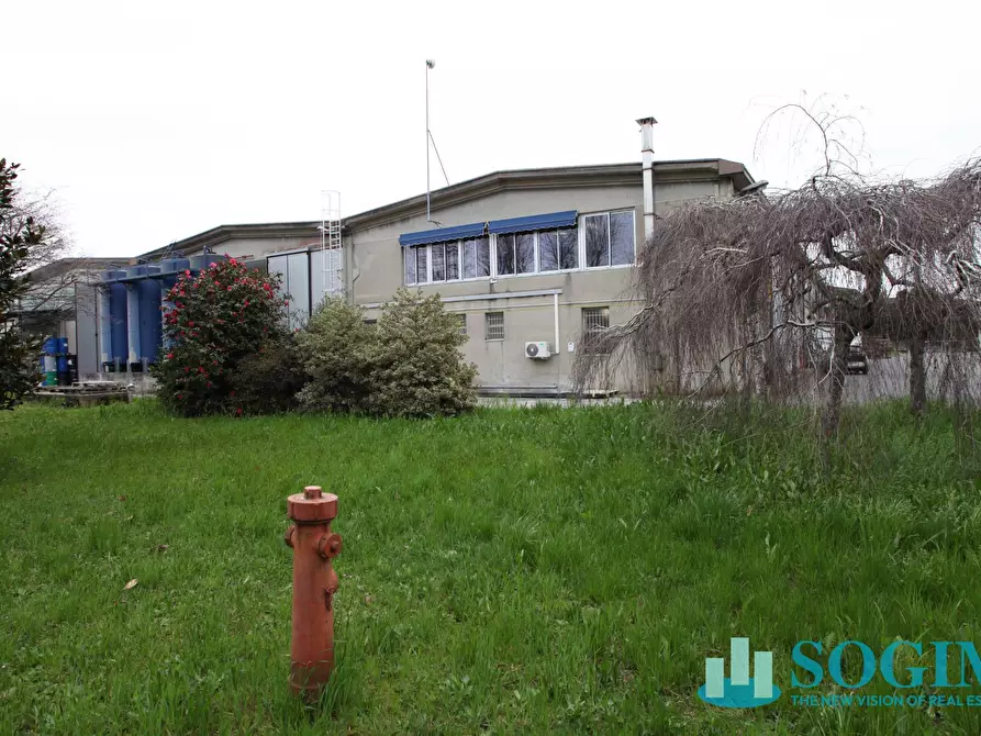 Immagine 4 di Capannone industriale in vendita  in via pascoli 4 a Basiano