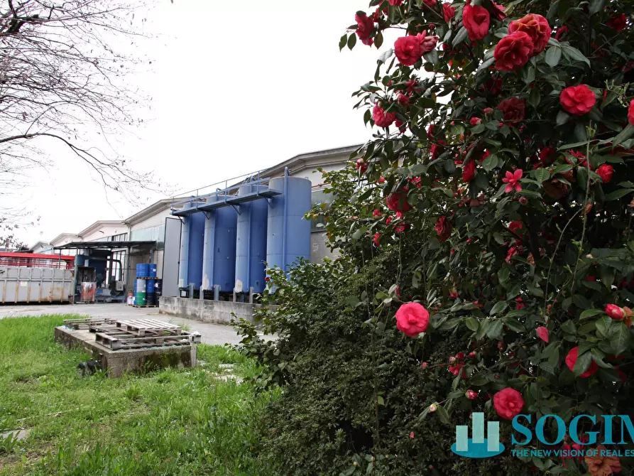 Immagine 11 di Capannone industriale in vendita  in via pascoli 4 a Basiano