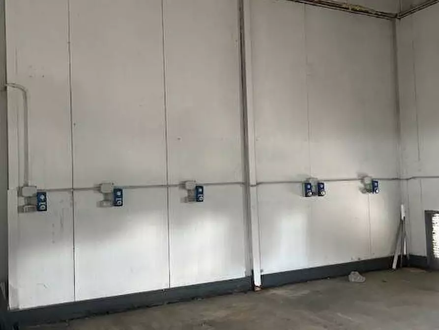 Immagine 8 di Capannone industriale in affitto  in via fantoli a Milano