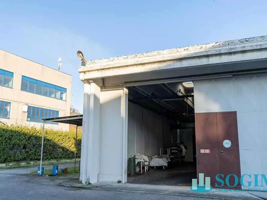 Immagine 12 di Laboratorio in vendita  in Via Giotto a Albese Con Cassano