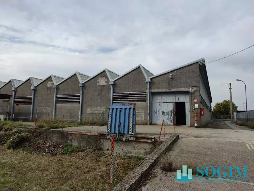 Immagine 6 di Capannone industriale in vendita  in Viale Industria 13 a Bottanuco