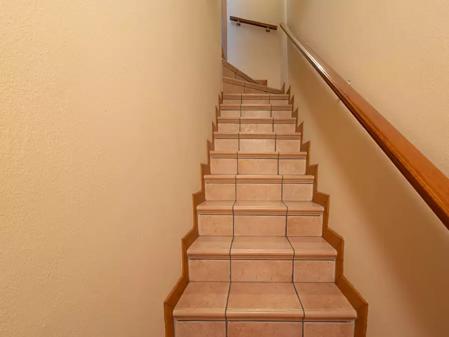 Immagine 10 di Casa semindipendente in vendita  in via giovanni pascoli 37 a Cologno Monzese