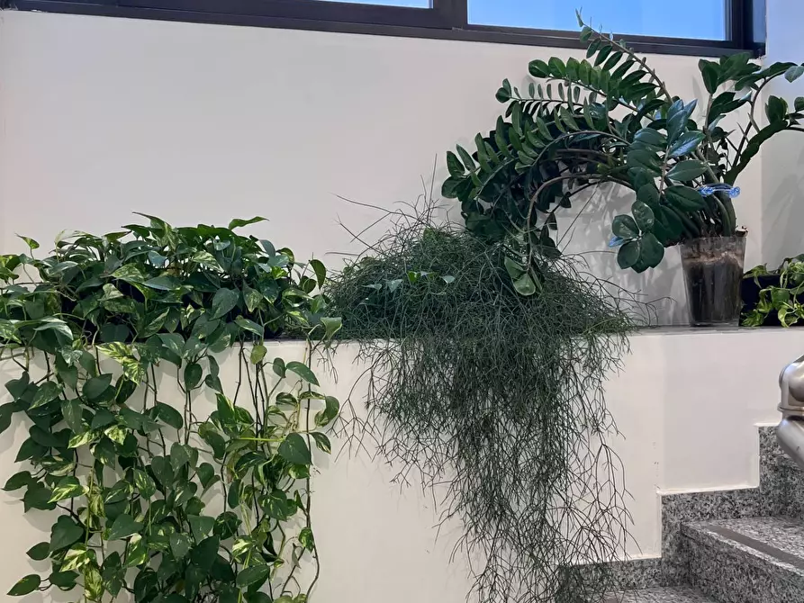 Immagine 13 di Capannone industriale in vendita  in via Albert Einstein 32 a Assago