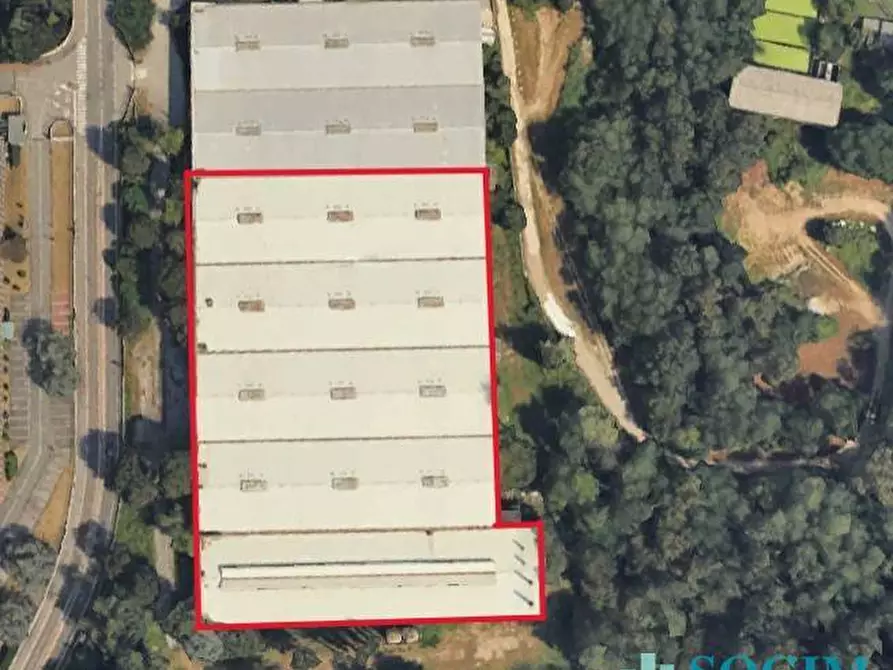Immagine 2 di Capannone industriale in vendita  in Via Colombera a Solbiate Arno