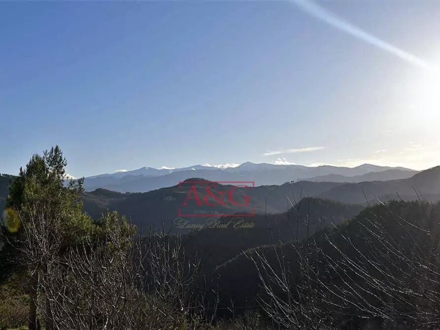 Immagine 16 di Rustico / casale in vendita  in osoli a Roccafluvione