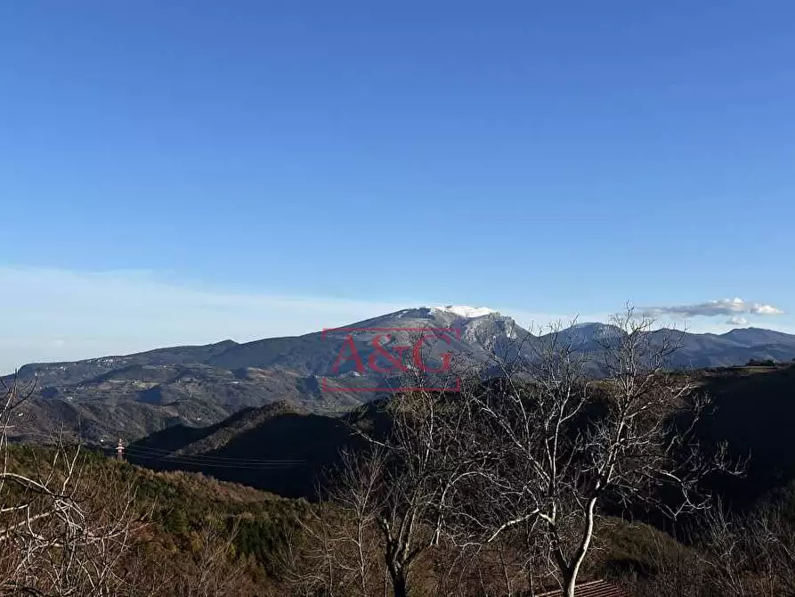 Immagine 17 di Rustico / casale in vendita  in osoli a Roccafluvione