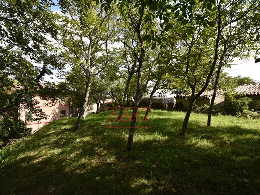 Immagine 43 di Casa indipendente in vendita  in villa garulla inferiore a Amandola