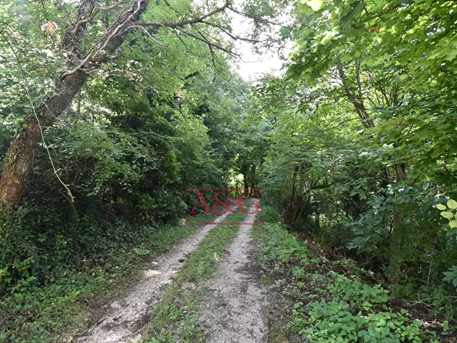 Immagine 45 di Casa indipendente in vendita  in villa garulla inferiore a Amandola