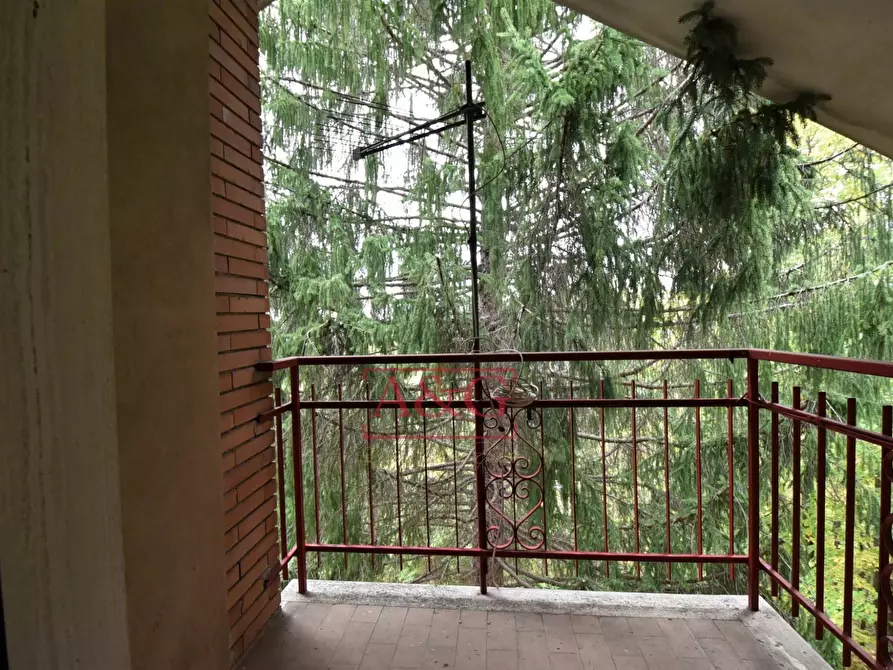 Immagine 21 di Casa indipendente in vendita  in via f. durante a Montefortino