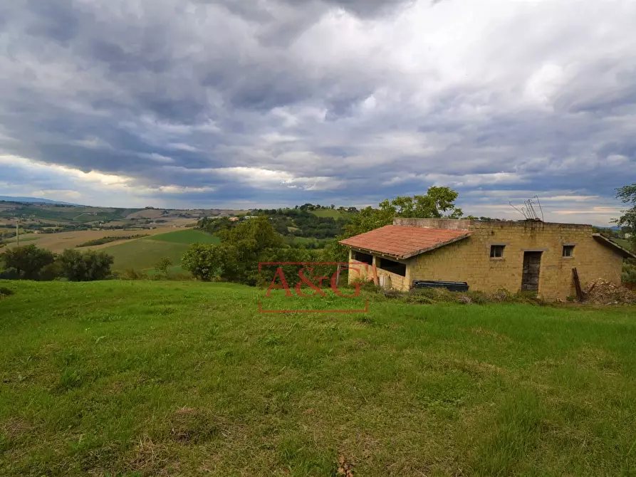 Immagine 3 di Rustico / casale in vendita  in c.da mossa 28 a Mogliano