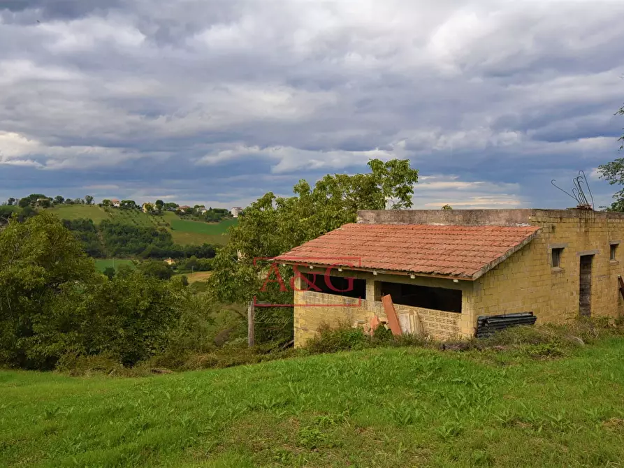 Immagine 4 di Rustico / casale in vendita  in c.da mossa 28 a Mogliano