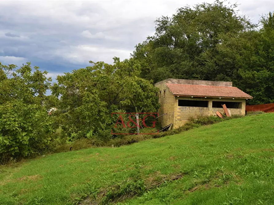 Immagine 11 di Rustico / casale in vendita  in c.da mossa 28 a Mogliano