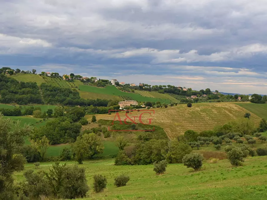 Immagine 13 di Rustico / casale in vendita  in c.da mossa 28 a Mogliano