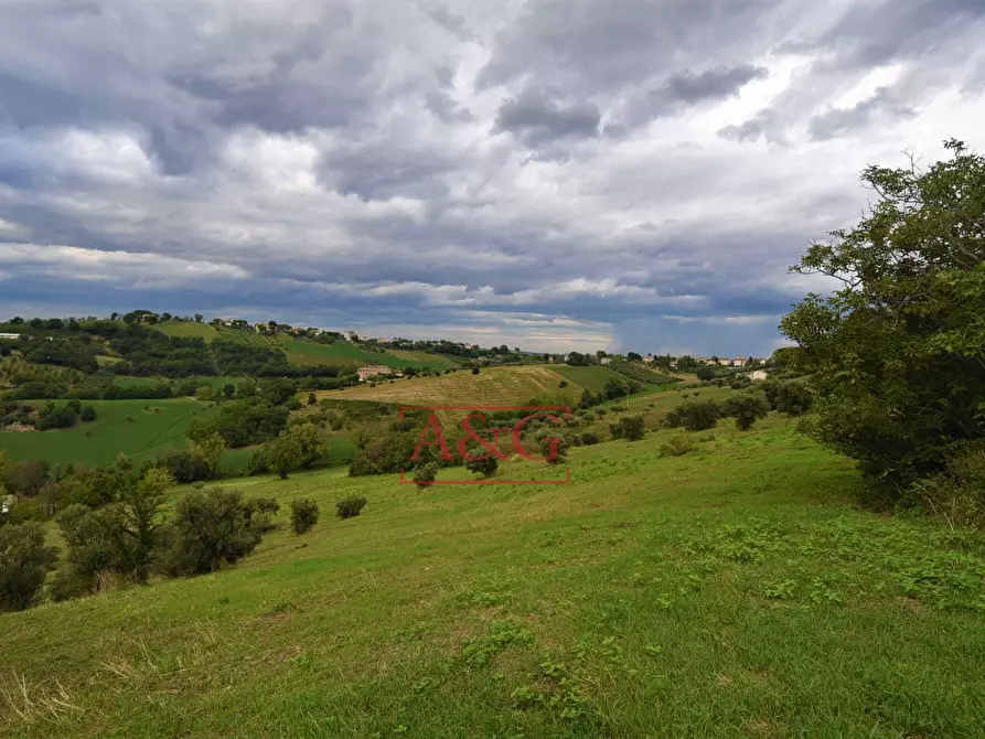 Immagine 15 di Rustico / casale in vendita  in c.da mossa 28 a Mogliano