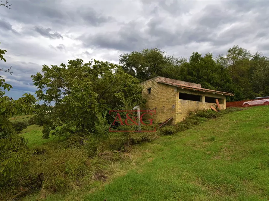 Immagine 17 di Rustico / casale in vendita  in c.da mossa 28 a Mogliano