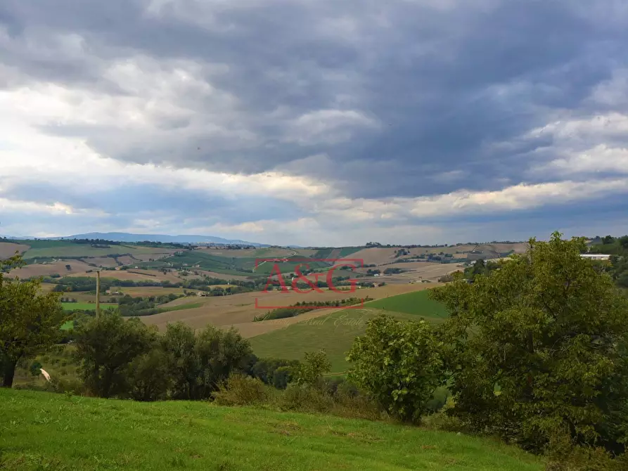 Immagine 18 di Rustico / casale in vendita  in c.da mossa 28 a Mogliano