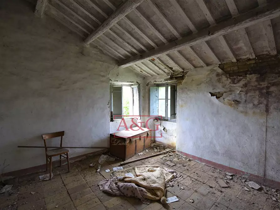 Immagine 23 di Rustico / casale in vendita  in c.da mossa 28 a Mogliano