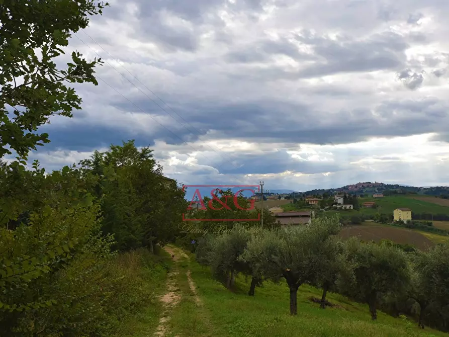 Immagine 26 di Rustico / casale in vendita  in c.da mossa 28 a Mogliano