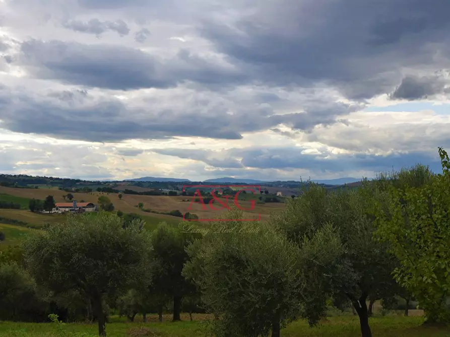 Immagine 27 di Rustico / casale in vendita  in c.da mossa 28 a Mogliano