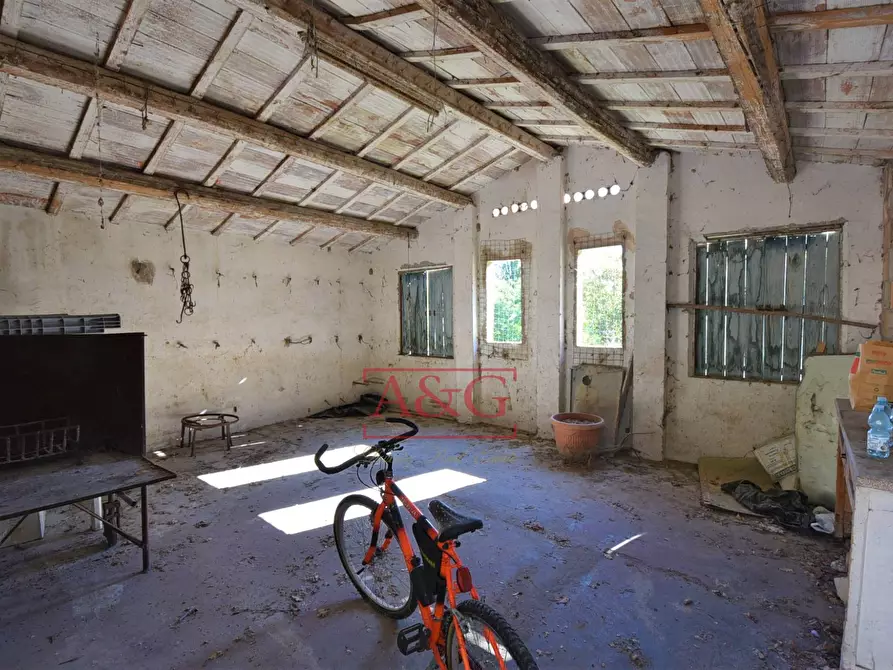 Immagine 37 di Casa indipendente in vendita  in frazione morico 15 a San Ginesio