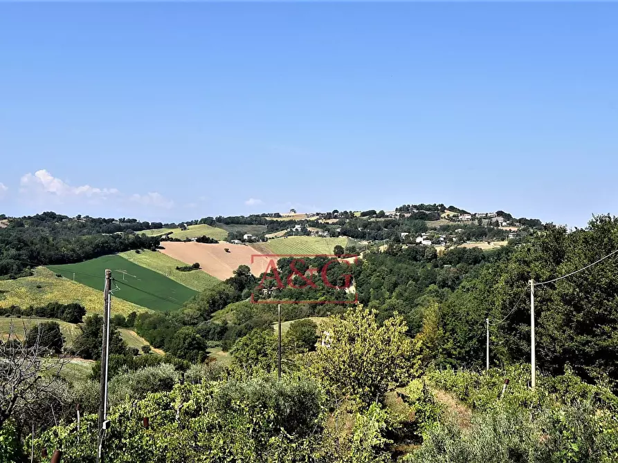 Immagine 53 di Villa in vendita  in contrada fegatara a Montegiorgio