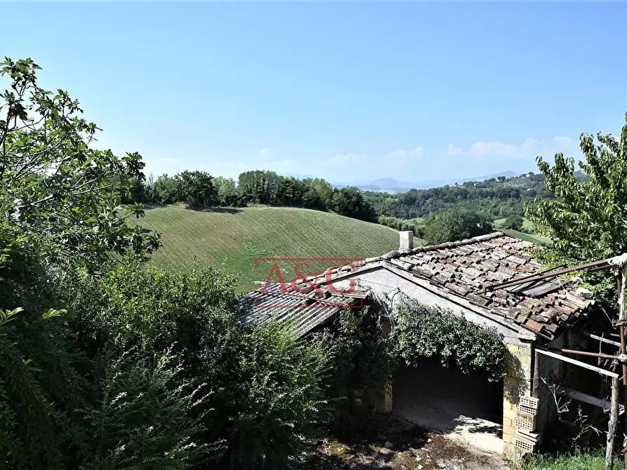 Immagine 23 di Villa in vendita  in contrada fegatara a Montegiorgio