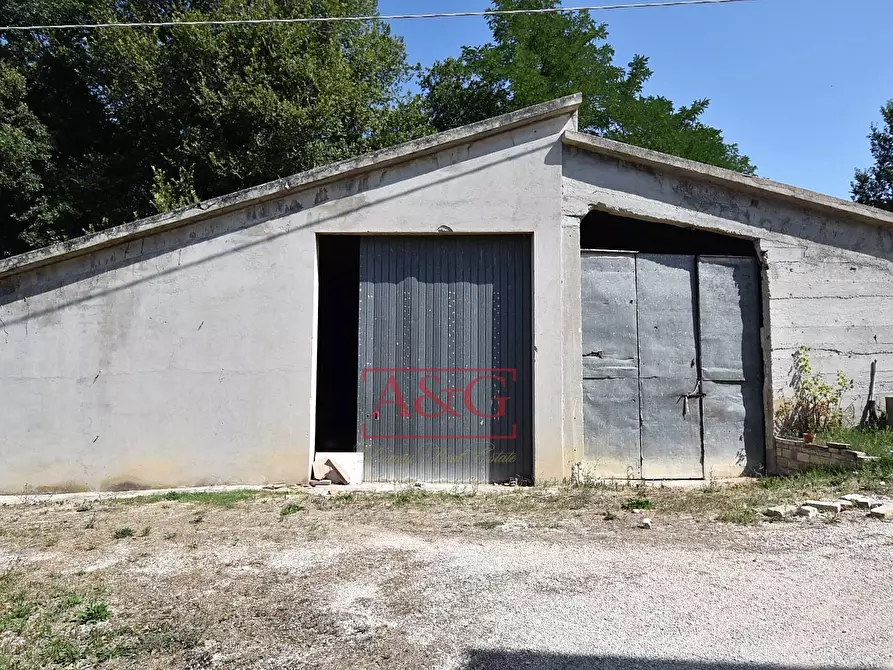 Immagine 24 di Villa in vendita  in contrada fegatara a Montegiorgio