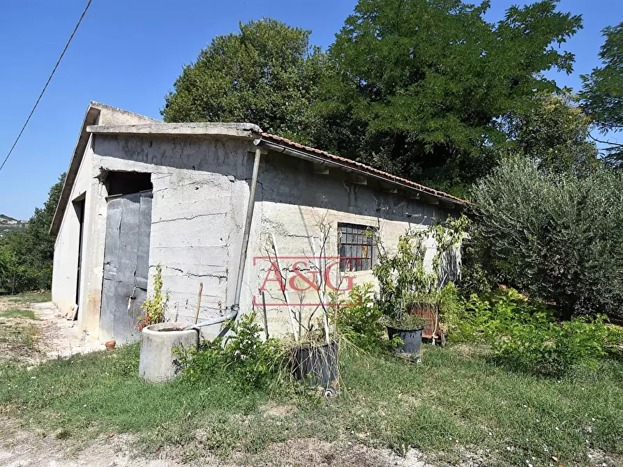 Immagine 25 di Villa in vendita  in contrada fegatara a Montegiorgio