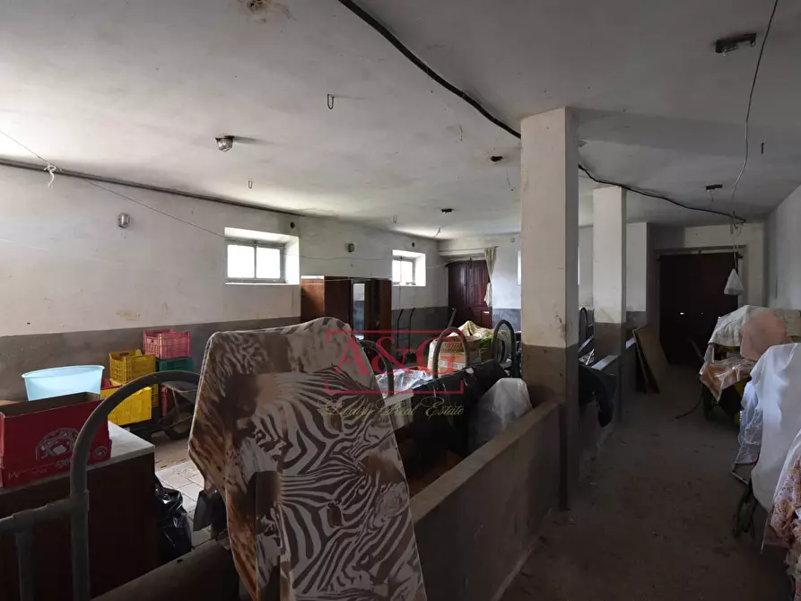 Immagine 34 di Villa in vendita  in contrada fegatara a Montegiorgio