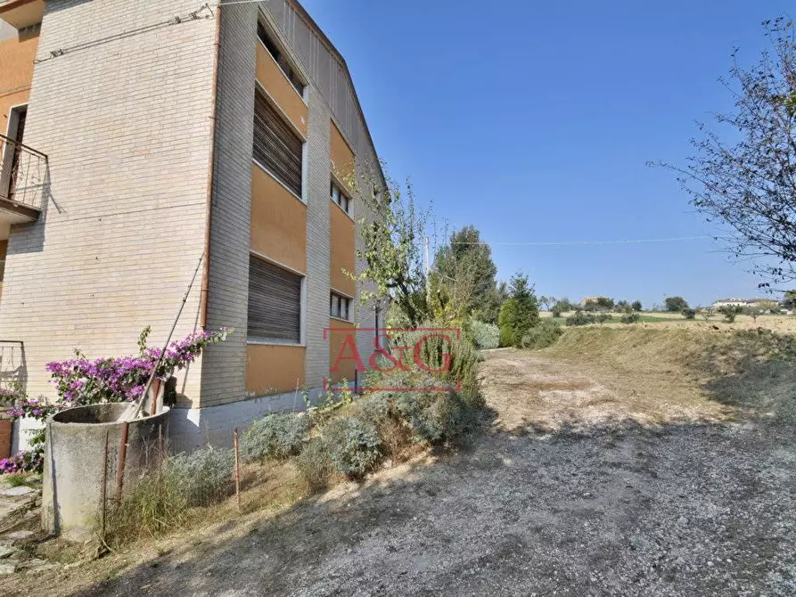 Immagine 41 di Villa in vendita  in contrada fegatara a Montegiorgio