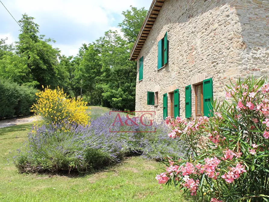 Immagine 29 di Rustico / casale in vendita  in VILLA VIDONI a Amandola