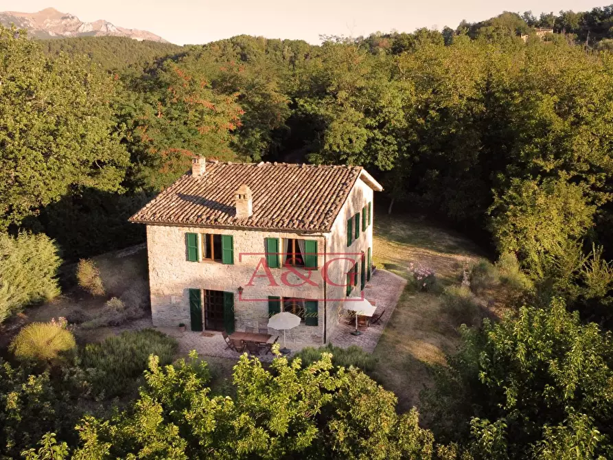 Immagine 30 di Rustico / casale in vendita  in VILLA VIDONI a Amandola