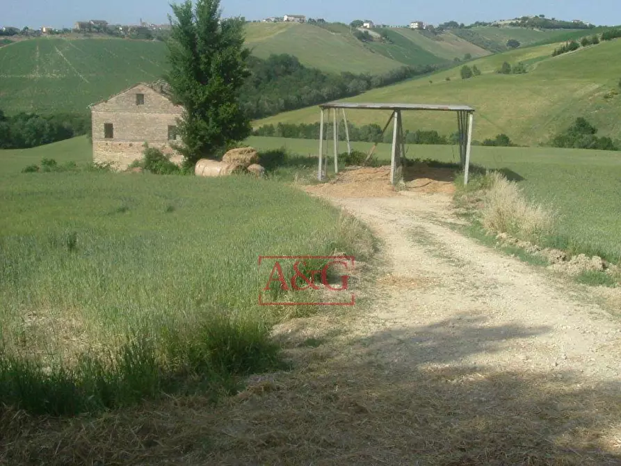 Immagine 38 di Rustico / casale in vendita  in contrada Paradette snc a Rapagnano