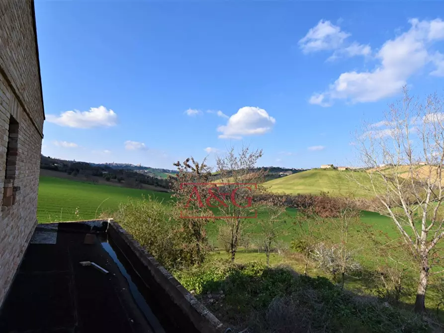 Immagine 24 di Rustico / casale in vendita  in contrada Paradette snc a Rapagnano