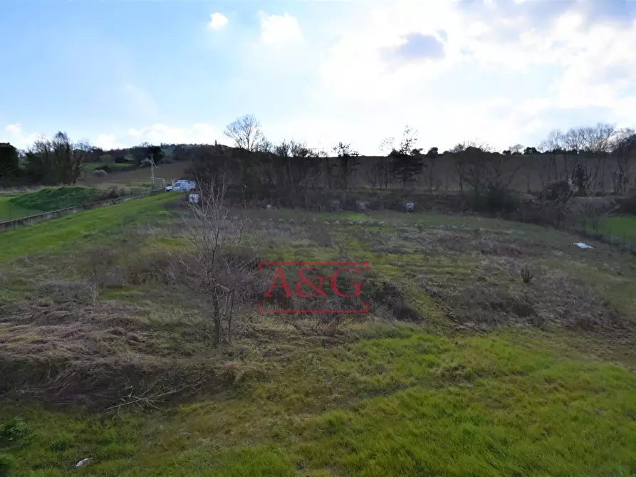 Immagine 25 di Rustico / casale in vendita  in contrada Paradette snc a Rapagnano