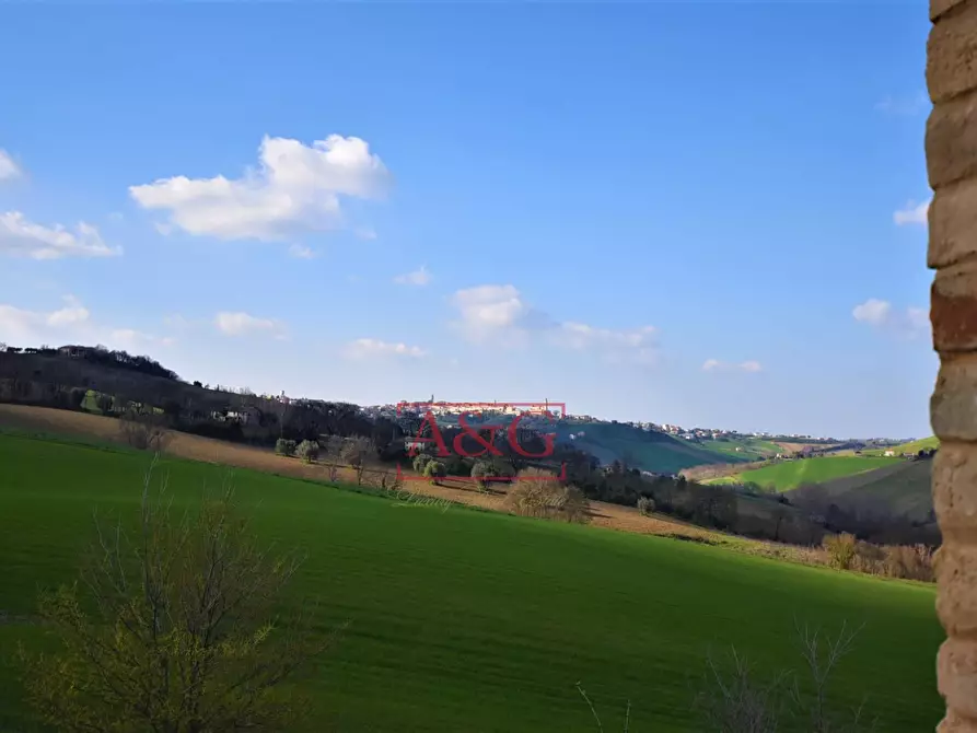 Immagine 26 di Rustico / casale in vendita  in contrada Paradette snc a Rapagnano