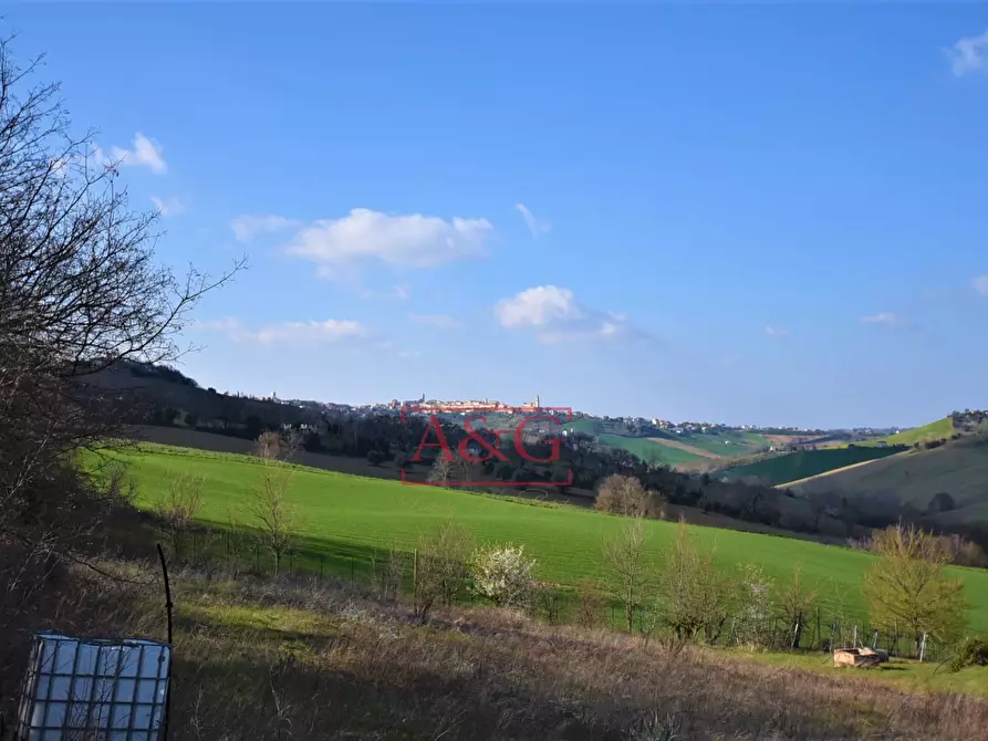 Immagine 31 di Rustico / casale in vendita  in contrada Paradette snc a Rapagnano