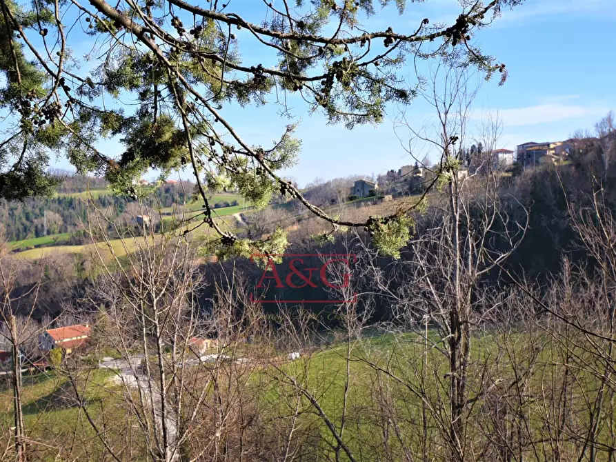 Immagine 32 di Casa indipendente in vendita  in Contrada Le Grazie 1 a Montelparo