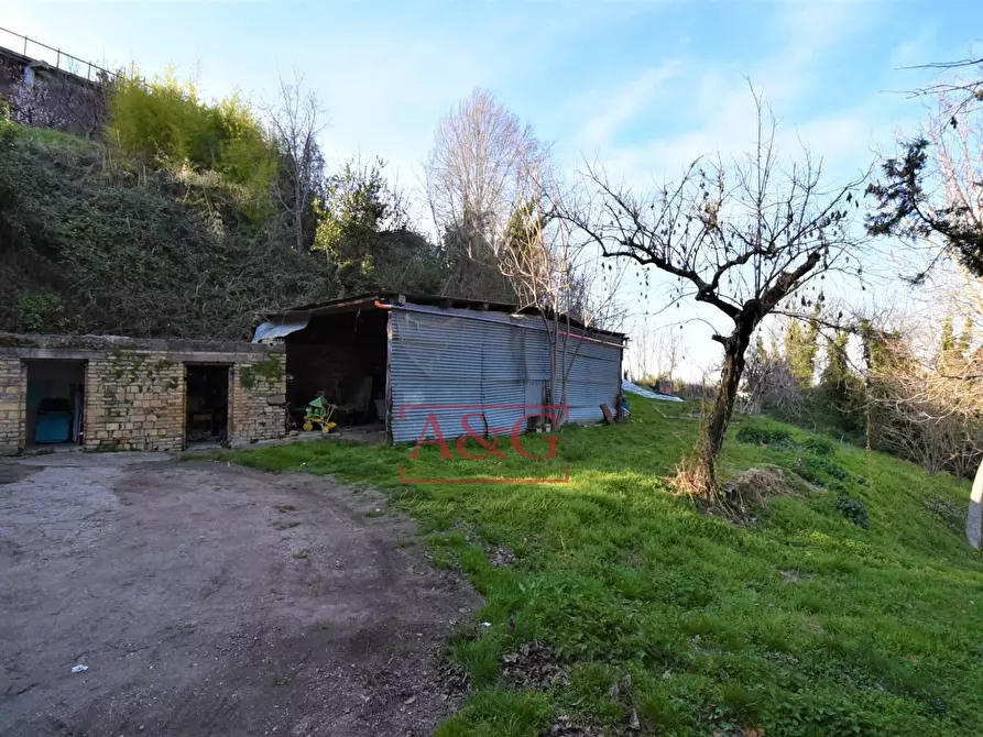 Immagine 5 di Casa indipendente in vendita  in Contrada Le Grazie 1 a Montelparo