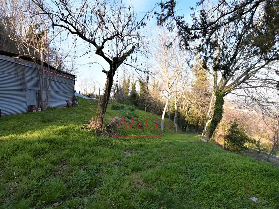 Immagine 6 di Casa indipendente in vendita  in Contrada Le Grazie 1 a Montelparo