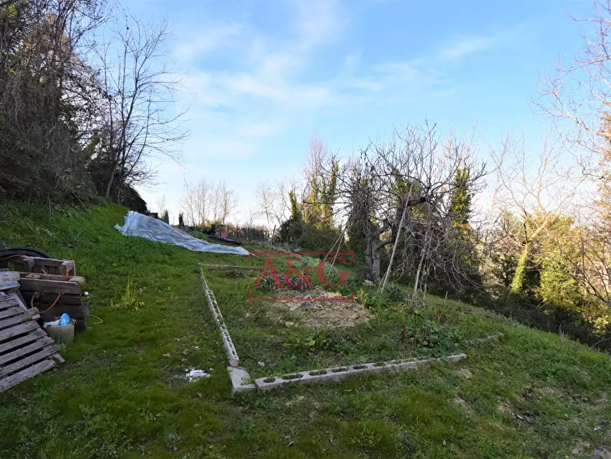 Immagine 7 di Casa indipendente in vendita  in Contrada Le Grazie 1 a Montelparo