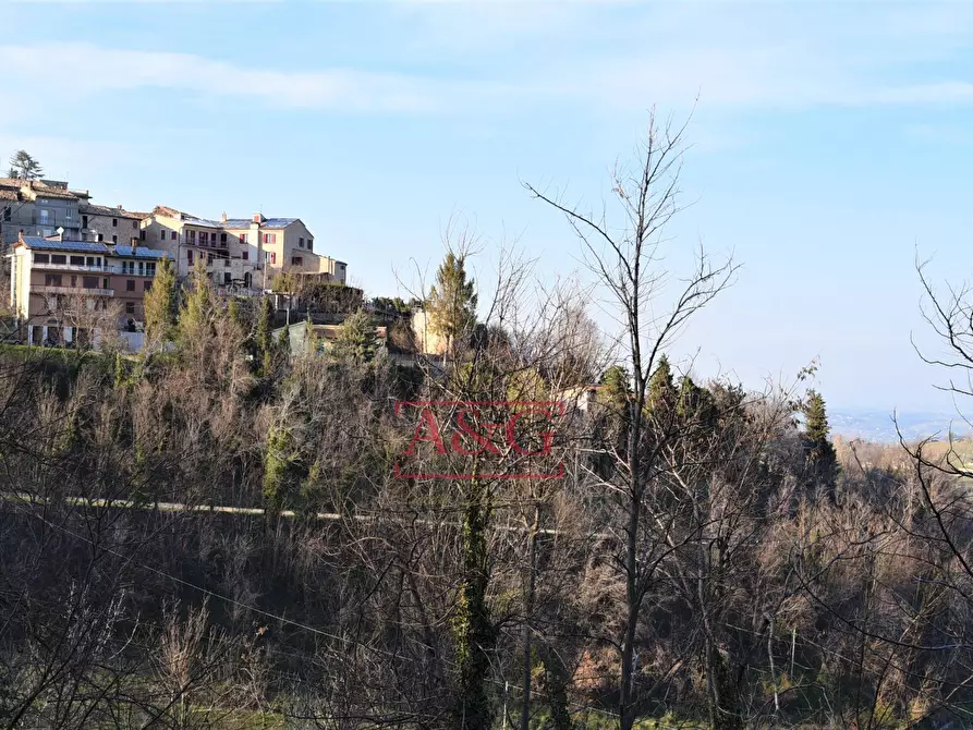 Immagine 28 di Casa indipendente in vendita  in Contrada Le Grazie 1 a Montelparo