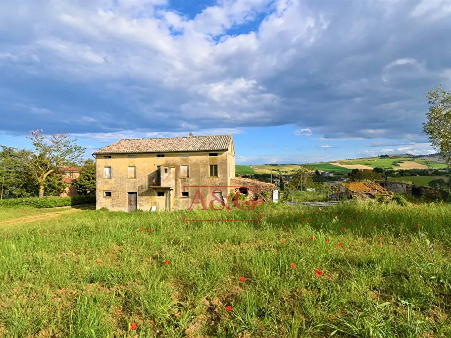 Immagine 9 di Rustico / casale in vendita  in Strada Piannenza a Sant'elpidio A Mare