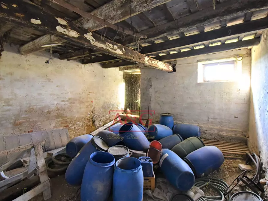 Immagine 33 di Rustico / casale in vendita  in Strada Piannenza a Sant'elpidio A Mare