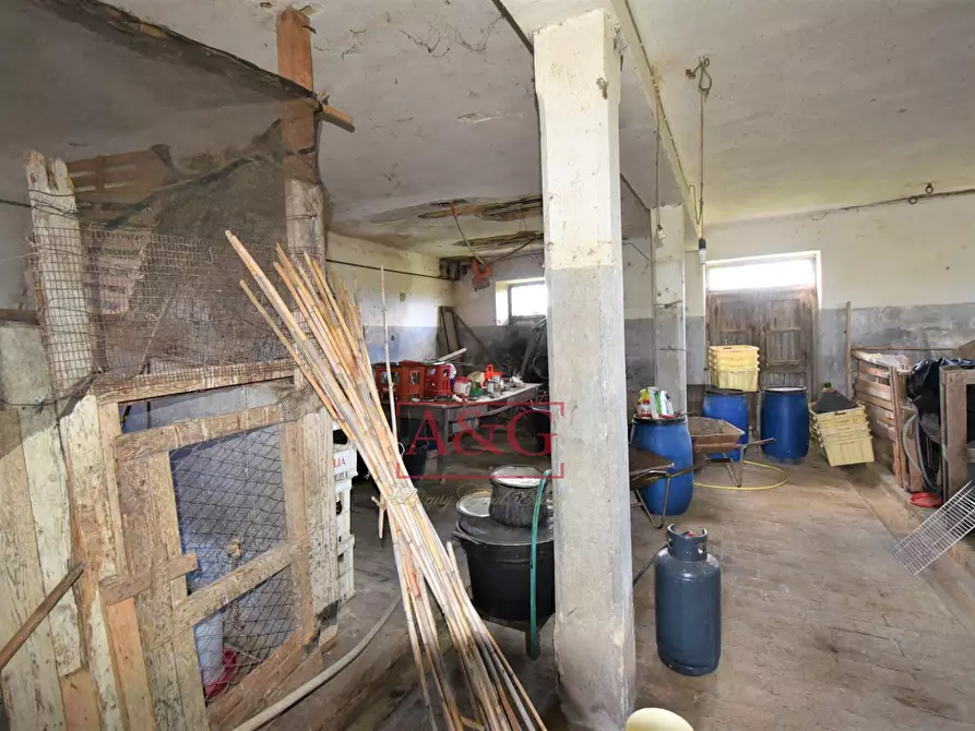 Immagine 35 di Rustico / casale in vendita  in Strada Piannenza a Sant'elpidio A Mare