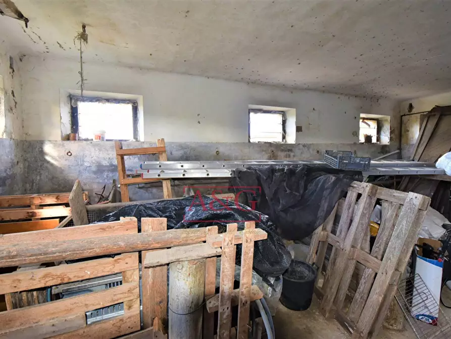 Immagine 36 di Rustico / casale in vendita  in Strada Piannenza a Sant'elpidio A Mare