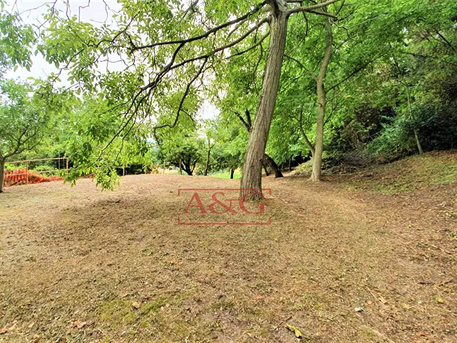 Immagine 34 di Rustico / casale in vendita  in belmonte piceno 11 a Belmonte Piceno