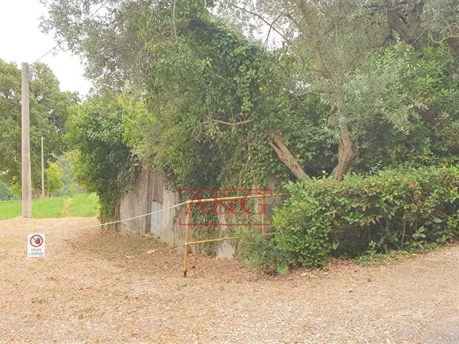 Immagine 35 di Rustico / casale in vendita  in belmonte piceno 11 a Belmonte Piceno